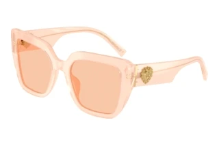 Vue de face Dolce & Gabbana DG4538 (304173)