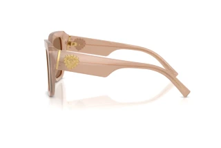 Seitenansicht Dolce & Gabbana DG4538 (304273)