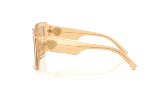 Vue latérale Dolce & Gabbana DG4538 (308993)