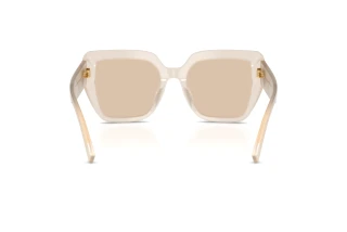 Vue arrière Dolce & Gabbana DG4538 (342093)