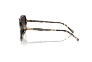 Vista laterale Dolce & Gabbana DG4539 (31728G)