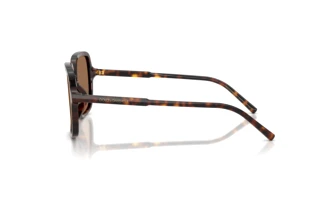 Seitenansicht Dolce & Gabbana DG4539 (502/73)