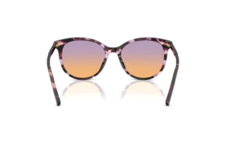 Vue arrière Dolce & Gabbana DG4540 (3477EL)
