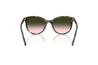 Vue arrière Dolce & Gabbana DG4540 (34782C)