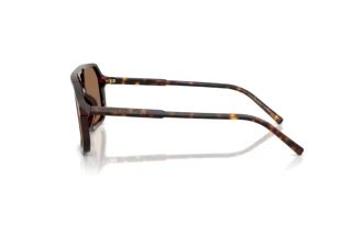 Seitenansicht Dolce & Gabbana DG4541 (502/73)