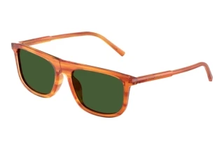 Vue de face Dolce & Gabbana DG4542 (348371)
