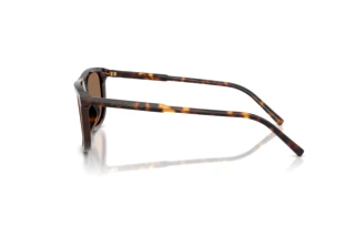 Vista laterale Dolce & Gabbana DG4542 (502/73)