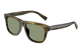 Vorderansicht Dolce & Gabbana DG4545 (306682)