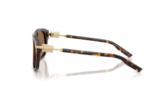 Seitenansicht Dolce & Gabbana DG4546 (502/73)