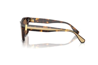 Vue latérale Dolce & Gabbana DG4559 (502/73)