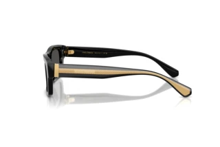Vista laterale Dolce & Gabbana DG4560 (501/87)