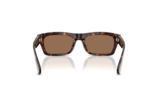 Vue arrière Dolce & Gabbana DG4560 (502/73)