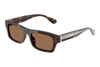 Vue de face Dolce & Gabbana DG4560 (502/73)