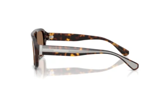 Seitenansicht Dolce & Gabbana DG4561 (502/73)