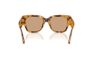 Vue arrière Dolce & Gabbana DG4563 (349663)