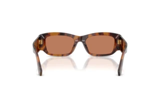 Vue arrière Dolce & Gabbana DG4564 (3497/3)