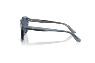 Vista laterale Dolce & Gabbana DG4566 (348280)