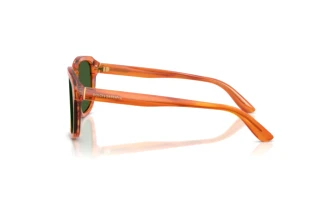 Seitenansicht Dolce & Gabbana DG4566 (34839A)