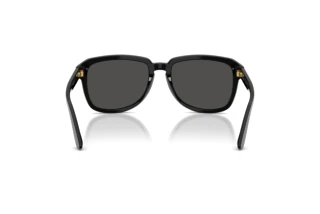 Vue arrière Dolce & Gabbana DG4566 (501/87)