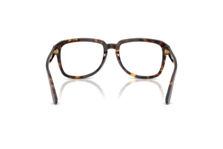 Vista posteriore Dolce & Gabbana DG4566 (502/SB)