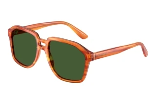 Vorderansicht Dolce & Gabbana DG4568 (34839A)