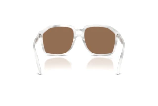 Vue arrière Dolce & Gabbana DG4568 (349573)