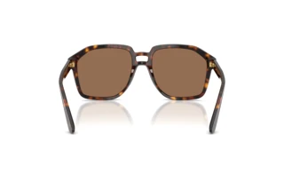 Vue arrière Dolce & Gabbana DG4568 (502/73)