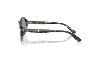 Vue latérale Dolce & Gabbana DG4570 (3172/1)