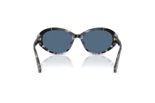 Vue arrière Dolce & Gabbana DG4570 (344380)