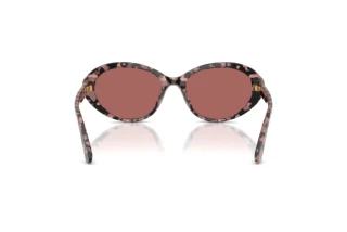 Vue arrière Dolce & Gabbana DG4570 (347669)