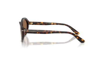 Vista laterale Dolce & Gabbana DG4570 (502/73)