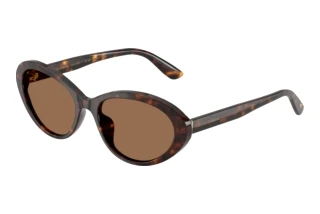 Vista frontale Dolce & Gabbana DG4570 (502/73)