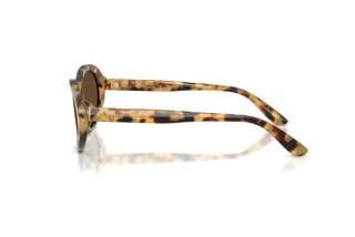 Vue latérale Dolce & Gabbana DG4570 (512/73)