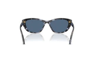 Vue arrière Dolce & Gabbana DG4571 (344380)