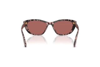 Vue arrière Dolce & Gabbana DG4571 (347669)