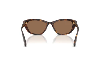 Vue arrière Dolce & Gabbana DG4571 (502/73)