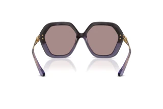 Vista posteriore Dolce & Gabbana DG6210 (3494LA)