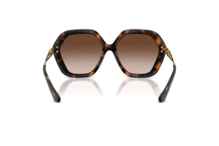 Vue arrière Dolce & Gabbana DG6210 (502/13)