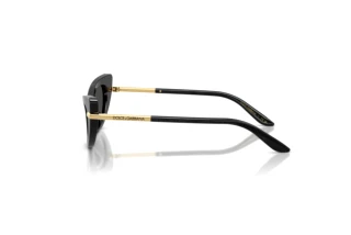 Seitenansicht Dolce & Gabbana DX4008 (324187)
