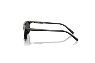 Vue latérale Dolce & Gabbana DX4009 (501/87)