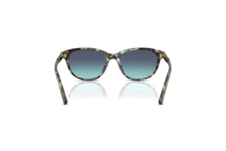 Vue arrière Dolce & Gabbana DX4010 (34434S)