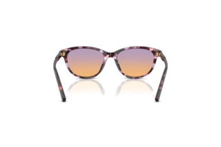 Rückansicht Dolce & Gabbana DX4010 (3477EL)