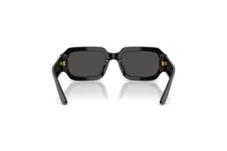 Vue arrière Dolce & Gabbana DX4011 (501/87)