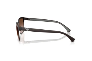 Seitenansicht Emporio Armani EA2087 (339013)
