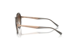 Vue latérale Emporio Armani EA2146 (336113)