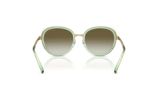 Vue arrière Emporio Armani EA2146 (33638E)