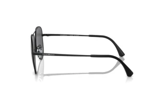 Seitenansicht Emporio Armani EA2149D (300181)