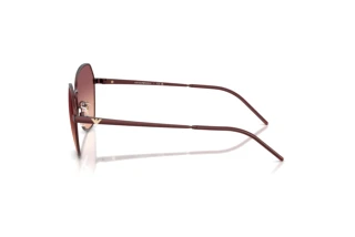 Vue latérale Emporio Armani EA2161 (34018D)