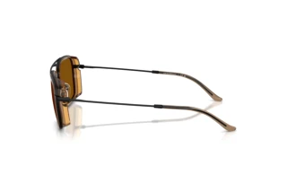 Vue latérale Emporio Armani EA2162 (300163)