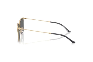 Vue latérale Emporio Armani EA2164D (30026G)
